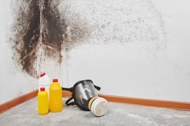 Best Crawl Space Mold Removal  in Hudson, TX