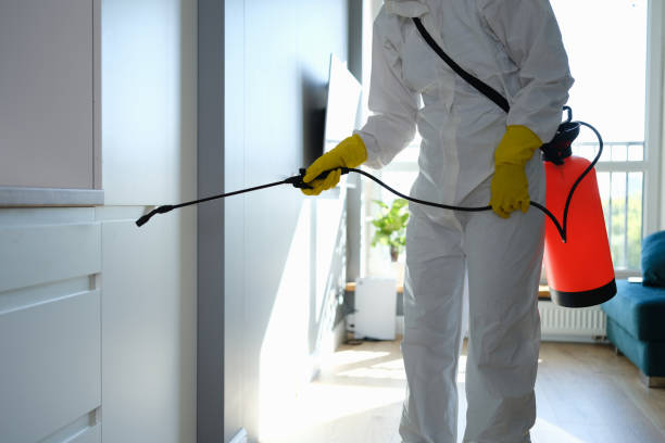 Best Office Mold Removal Services  in Hudson, TX