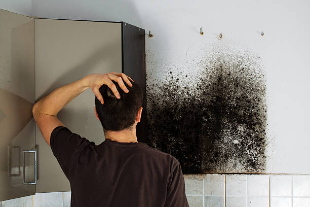 Best Office Mold Removal Services  in Hudson, TX